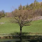 Holiday home Il Nido Di Lele E Schina Arvier