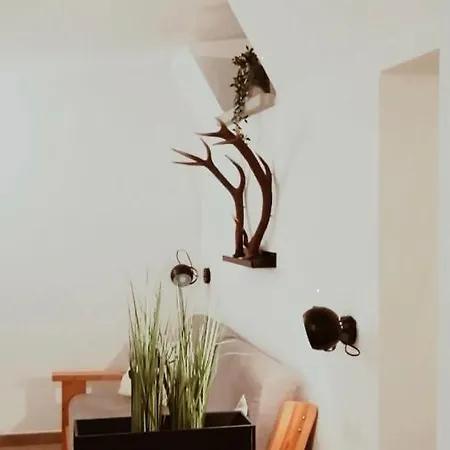 Il Nido Di Lele E Schina Holiday home