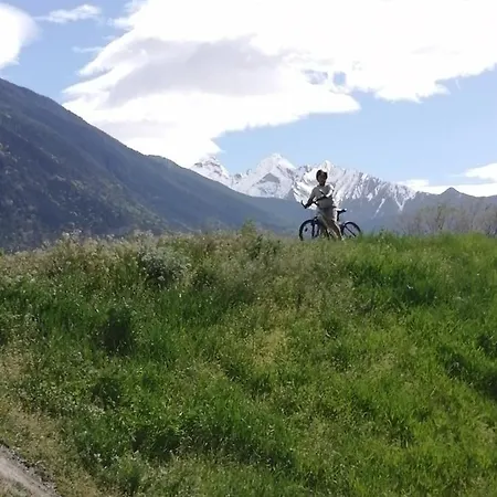 Il Nido Di Lele E Schina