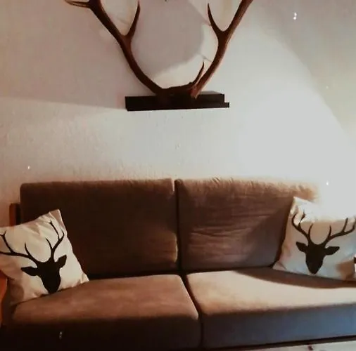 Il Nido Di Lele E Schina アルヴィエ