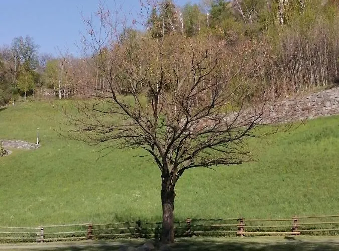 Casa vacanze Il Nido Di Lele E Schina Arvier