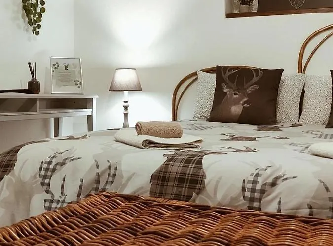 Il Nido Di Lele E Schina