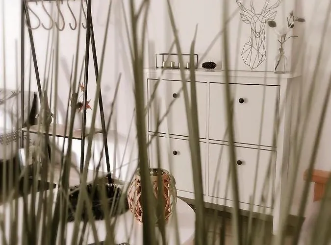 Il Nido Di Lele E Schina *