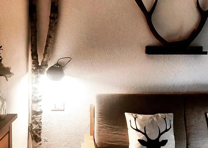 Il Nido Di Lele E Schina